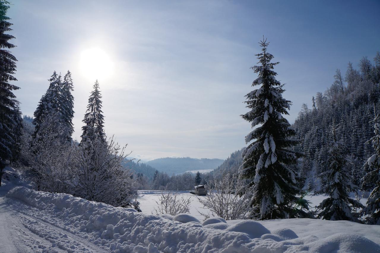 Chalet Tatry Horna Lehota Exterior photo